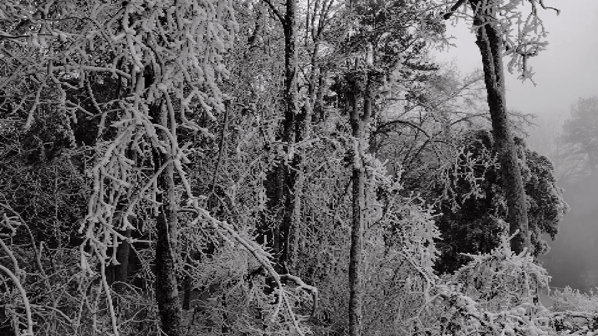 What You Need to Know Before This Weekend's Winter Storm Hits Hochatown