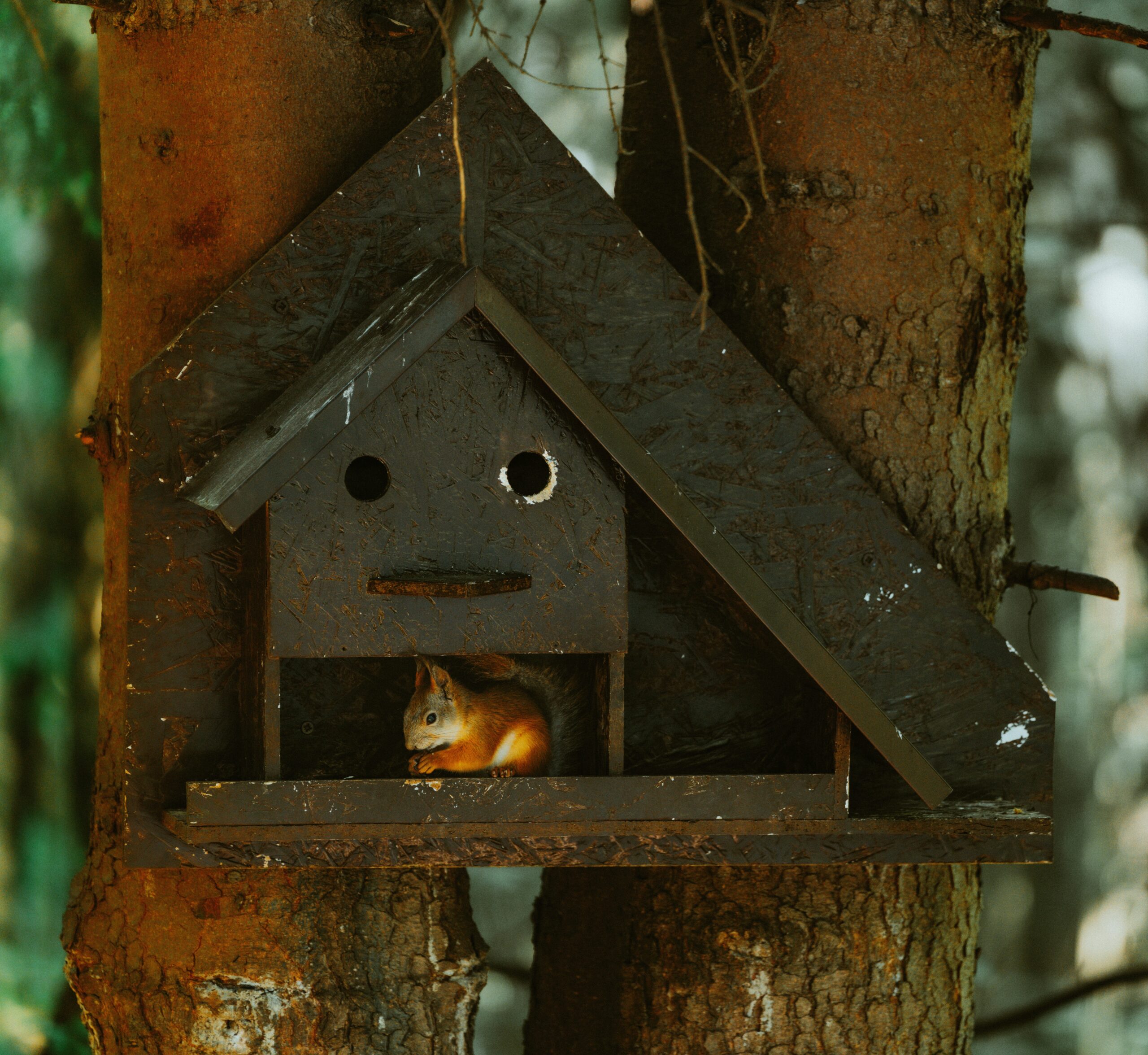 Home 1 anton kotlovskii lC1VQZYwXlU unsplash scaled